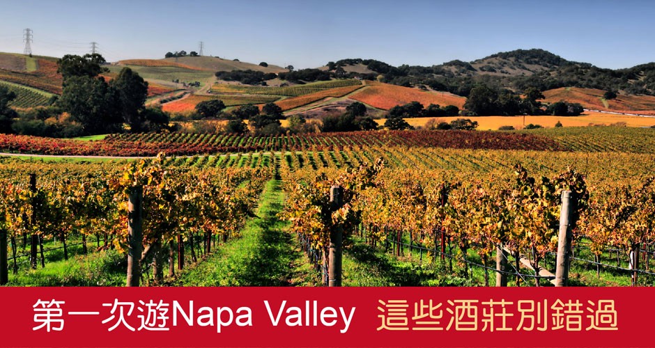 第一次遊Napa Valley，這些酒莊千萬別錯過